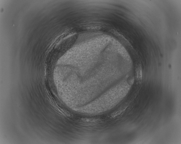 X0000081470733200702021832