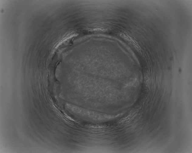 X0000081470735200702021832