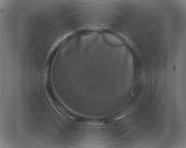 X0000081470736200702021832