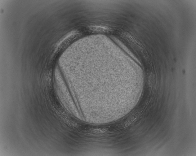 X0000081470737200702021832