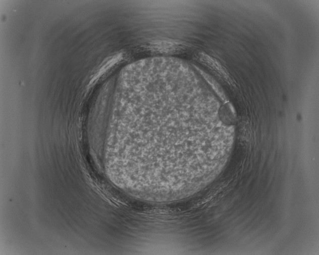 X0000081470738200702021832