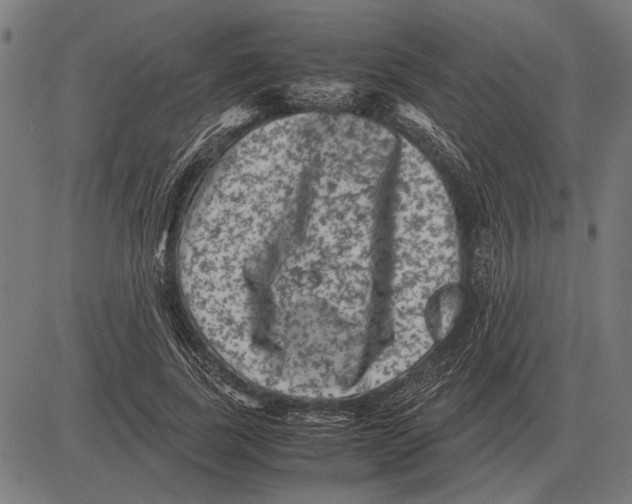 X0000081470739200702021832