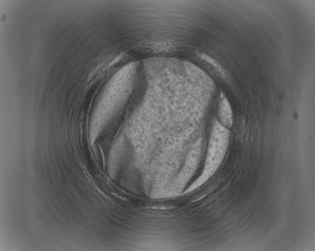 X0000081470740200702021832