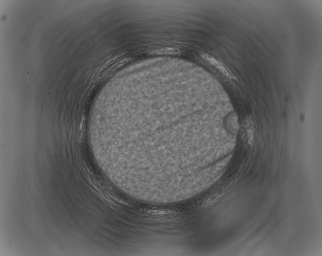 X0000081470741200702021832