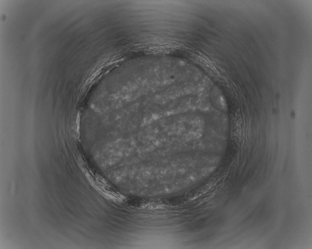 X0000081470742200702021832