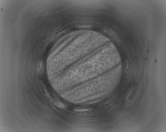 X0000081470743200702021832