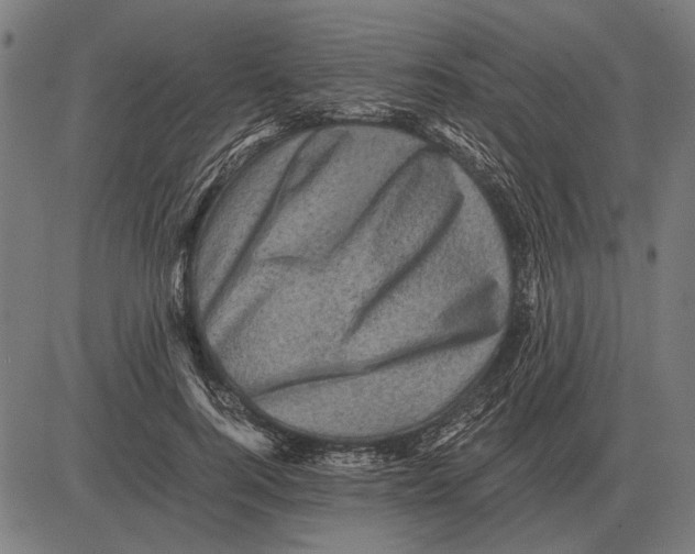 X0000081470744200702021832