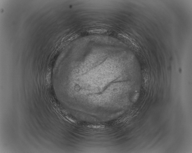 X0000081470745200702021832