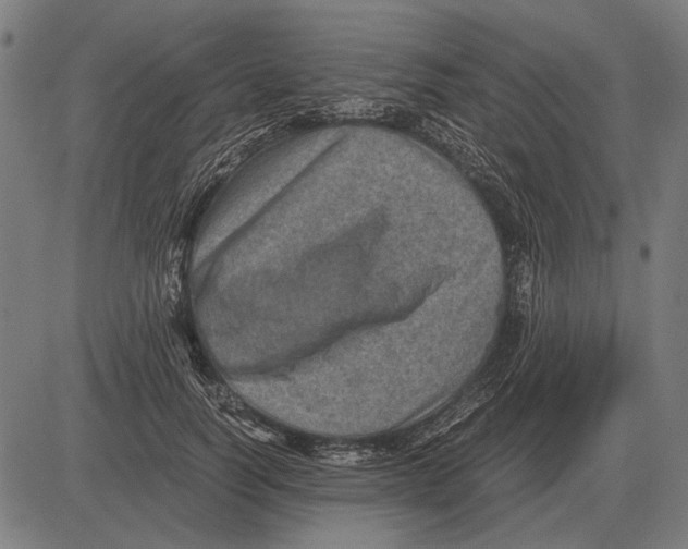 X0000081470746200702021832