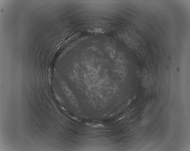 X0000081470747200702021832