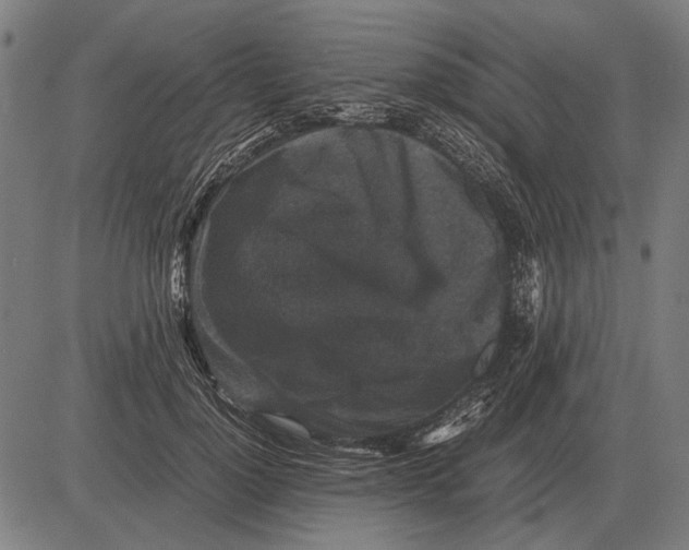 X0000081470748200702021832