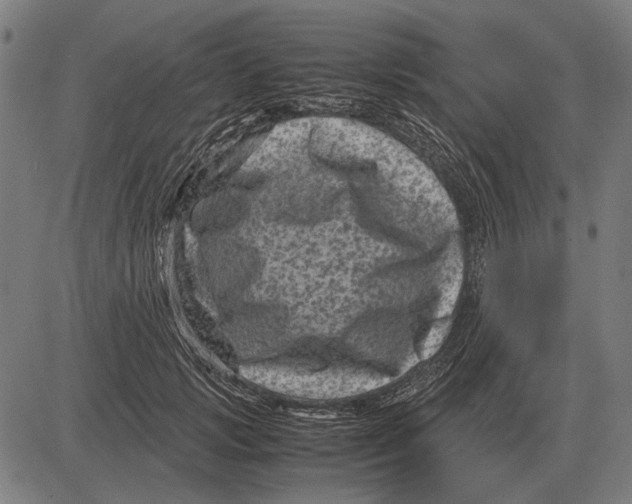 X0000081470749200702021832