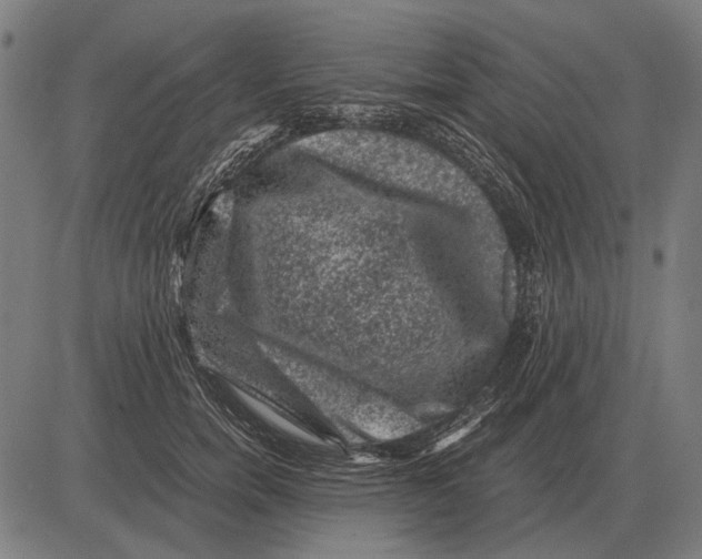 X0000081470750200702021832