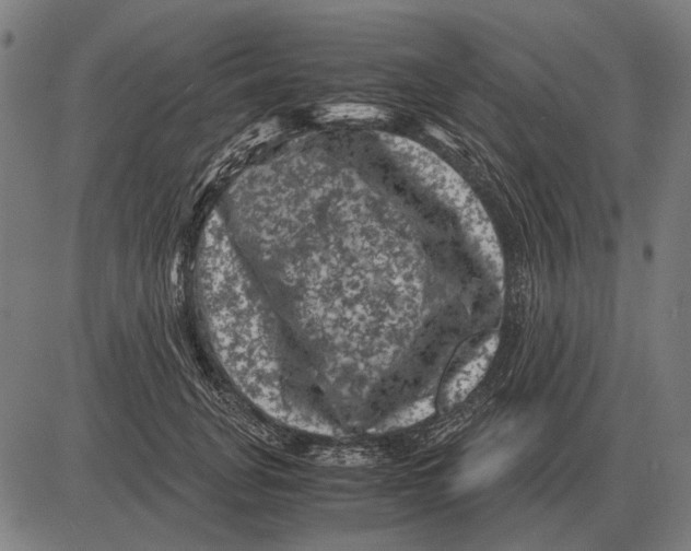 X0000081470751200702021832