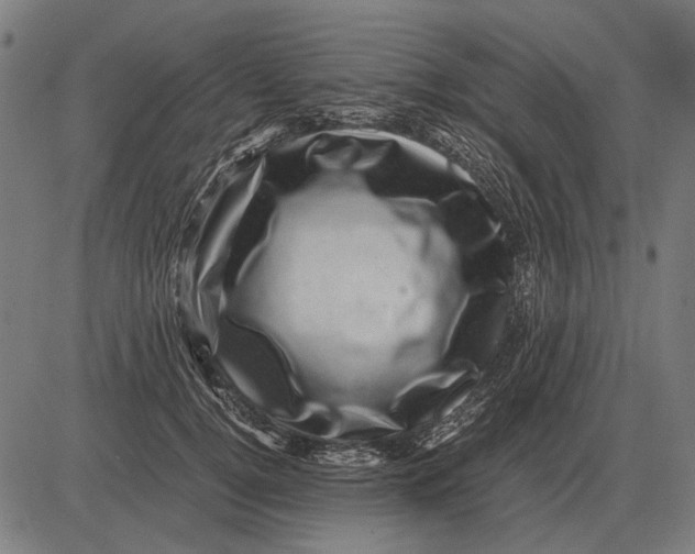 X0000081470752200702021832