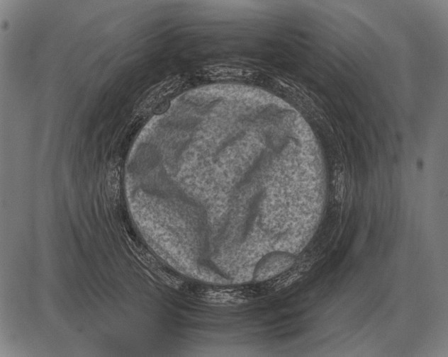 X0000081470753200702021832