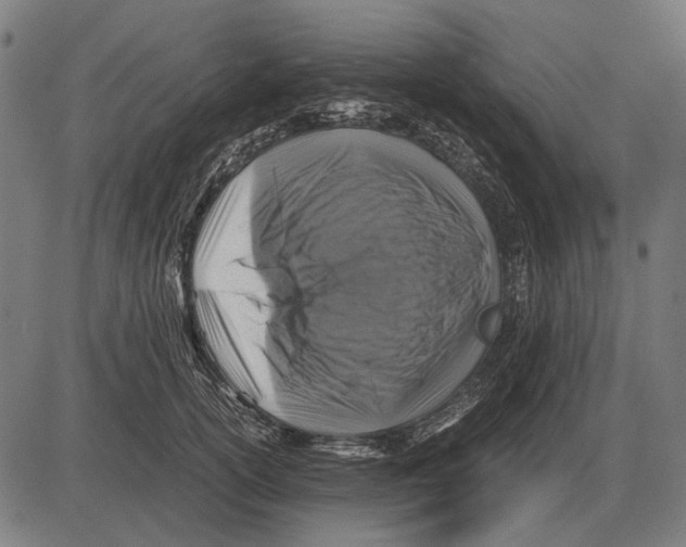 X0000081470754200702021832