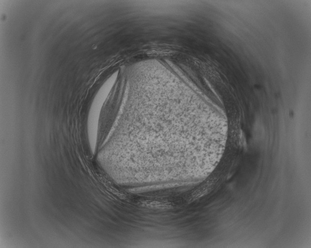 X0000081470755200702021832