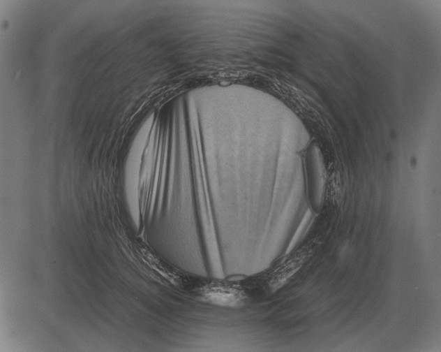 X0000081470756200702021832