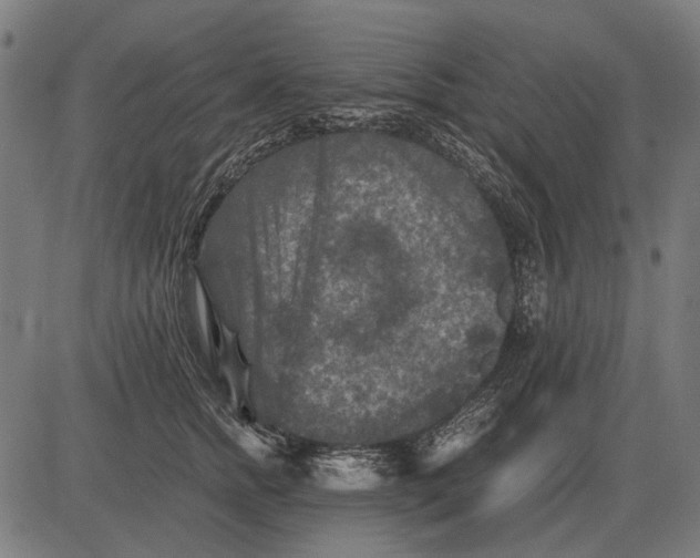 X0000081470758200702021832