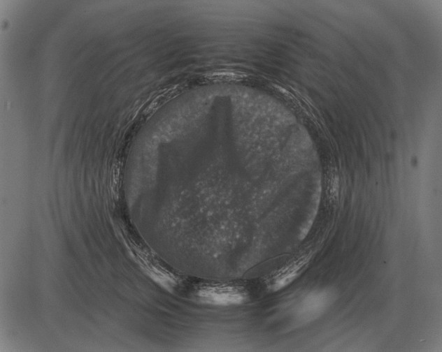 X0000081470759200702021832