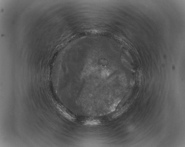 X0000081470760200702021832