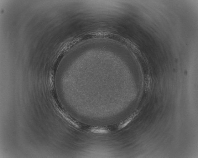 X0000081470762200702021832