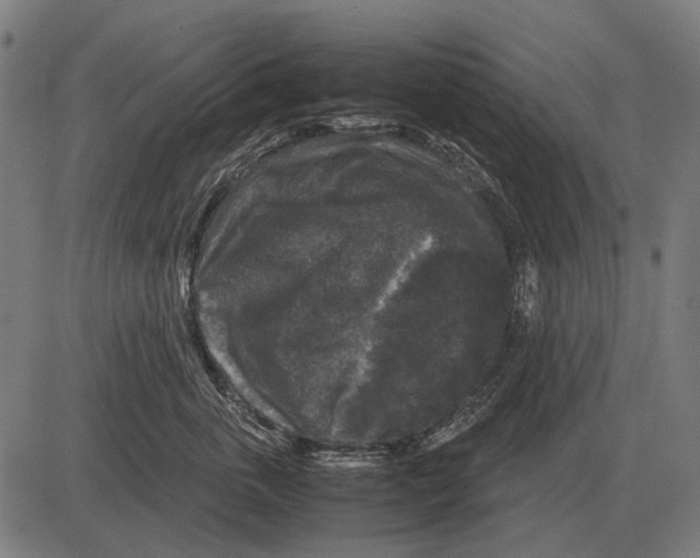 X0000081470763200702021832