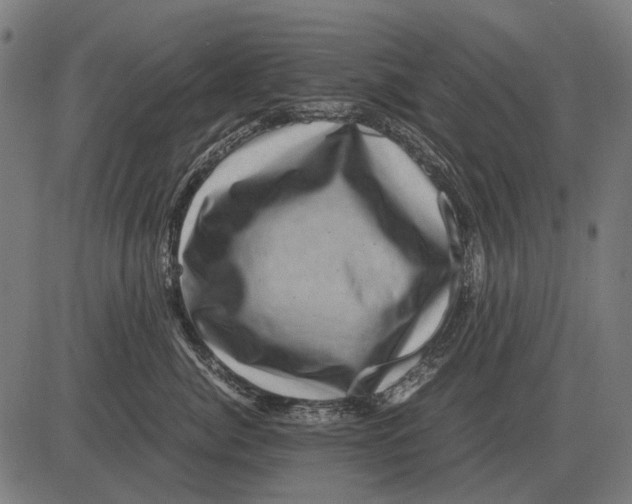 X0000081470764200702021832