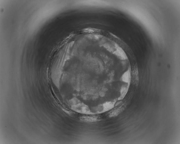 X0000081470765200702021832