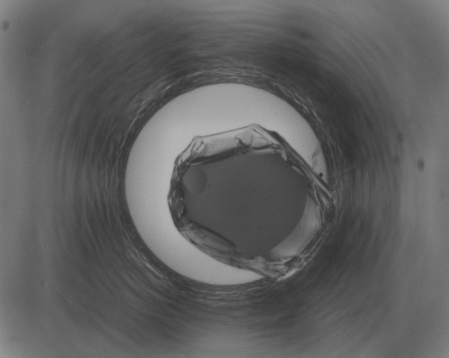 X0000081470766200702021832