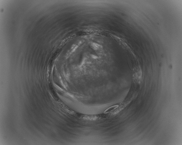 X0000081470767200702021832