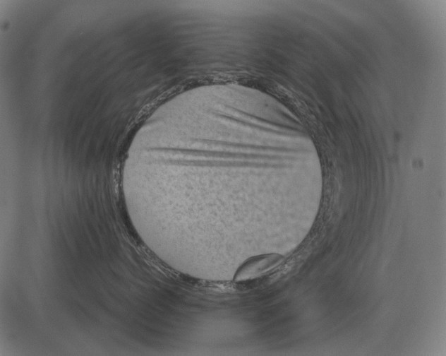 X0000081470768200702021832