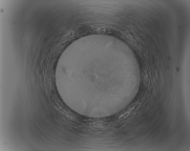 X0000081470769200702021831