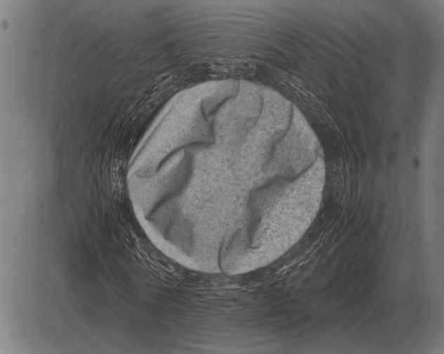 X0000081470770200702021831