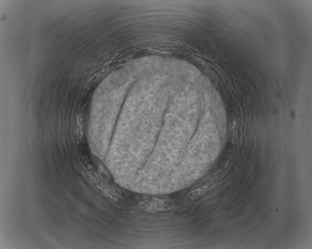 X0000081470772200702021831