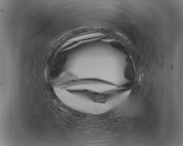 X0000081470773200702021831