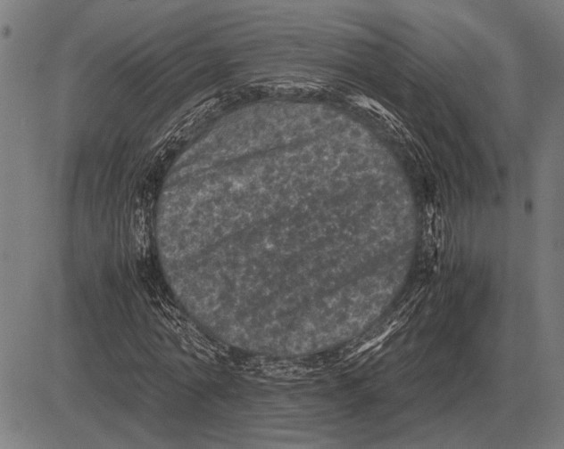 X0000081470774200702021831