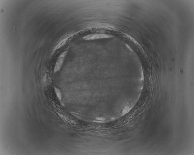 X0000081470775200702021831