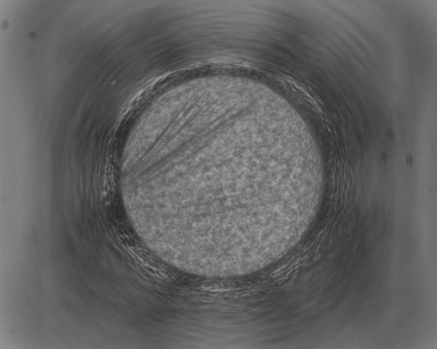 X0000081470776200702021831