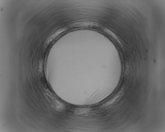 X0000081470778200702021831