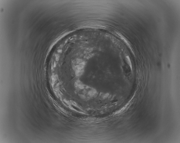 X0000081470779200702021831