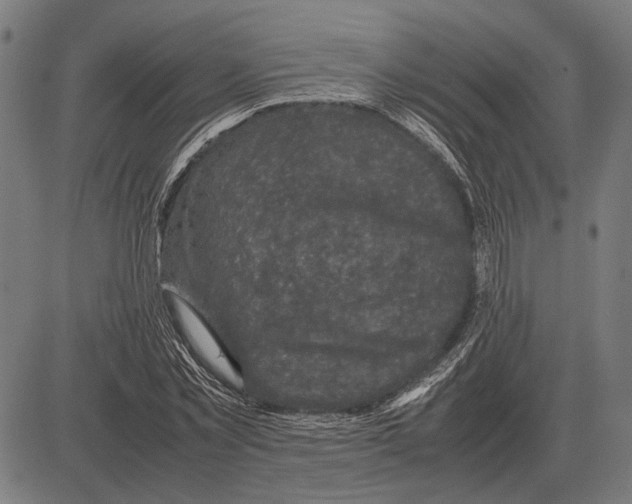 X0000081470781200702021831