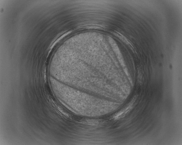 X0000081470782200702021831