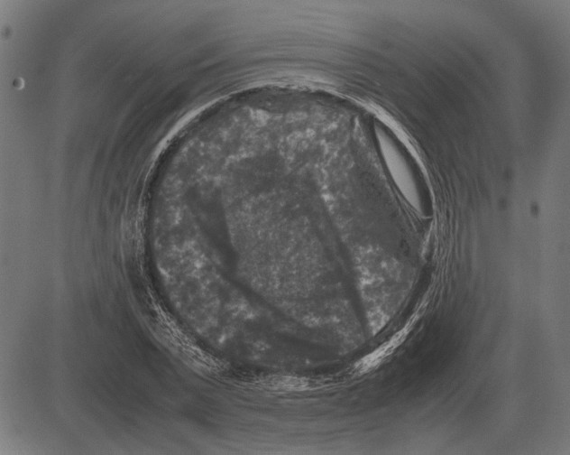 X0000081470783200702021831