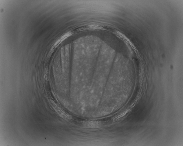 X0000081470785200702021831