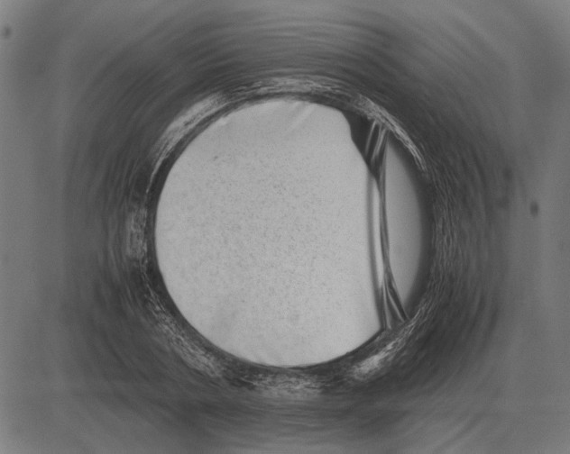 X0000081470786200702021831