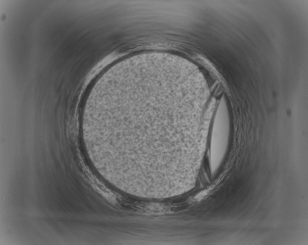 X0000081470787200702021831