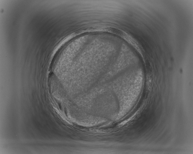 X0000081470789200702021831