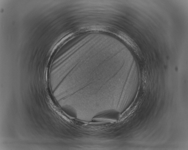 X0000081470790200702021831